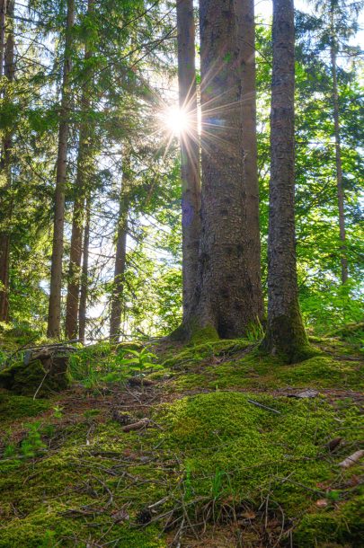 Schlucht 03 Schlucht 03