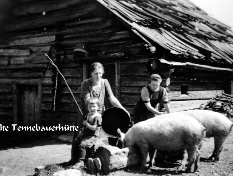 Alm 11 Alm 11