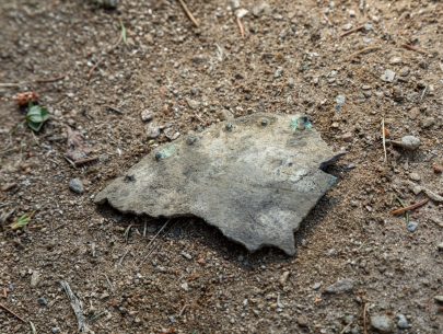 Museum Argentum 32 Museum Argentum 32