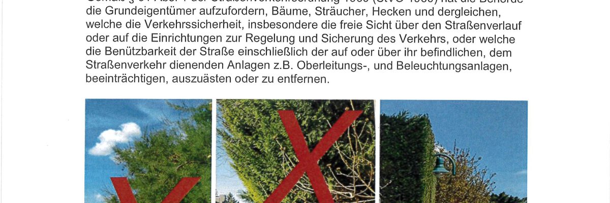 Plakat Bauschnitt. Anleitung, wie Bäume richtig geschnitten sein sollten.