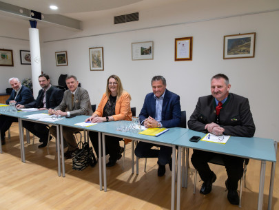 Gemeinderat Gemeinderat