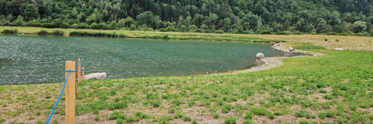 Sternsee
